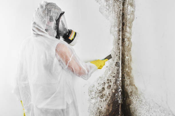 Crawl Space Mold Removal in Boonville, MO