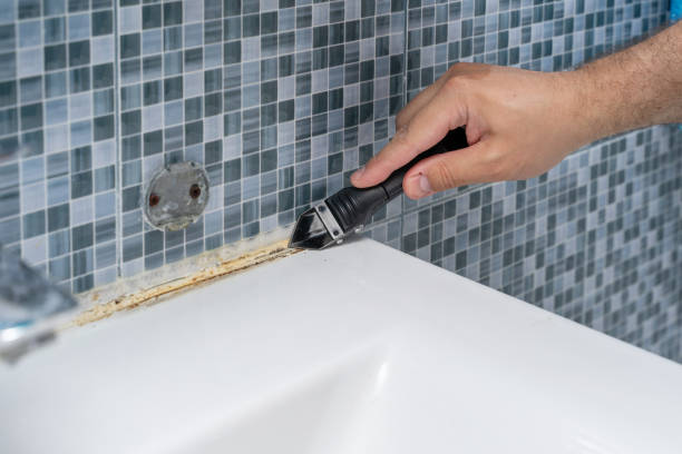 Best Commercial Mold Removal  in Boonville, MO