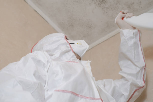 Water Damage Restoration in Boonville, MO