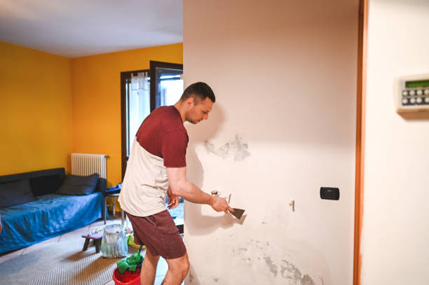 Professional Mold Removal in Boonville, MO