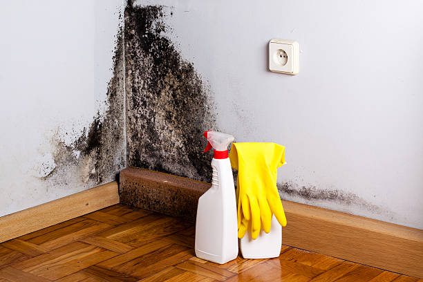 Best Crawl Space Mold Removal  in Boonville, MO